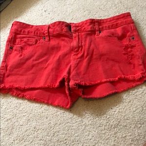Red Bullhead Black shorts